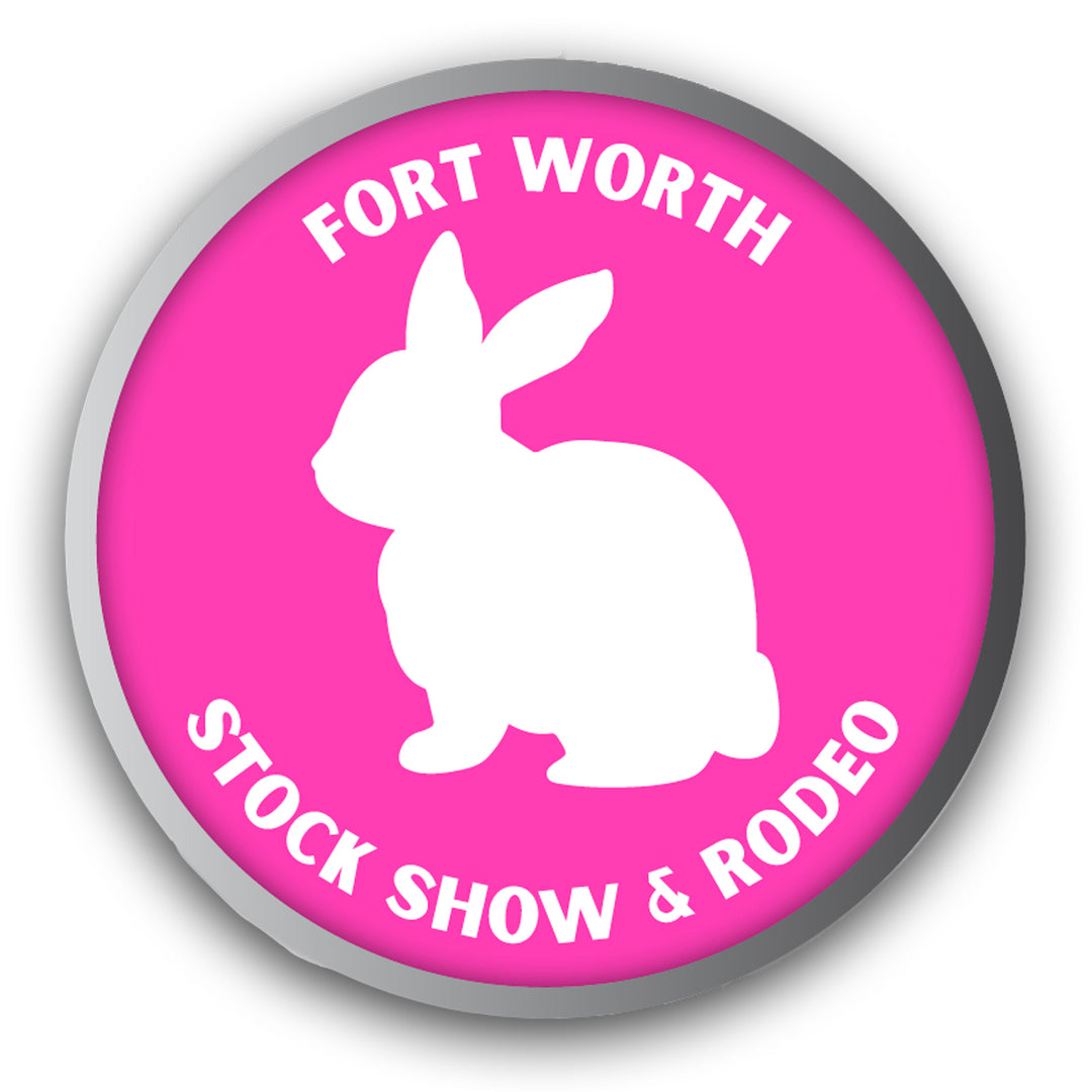 2022 Rabbit Lapel Pin